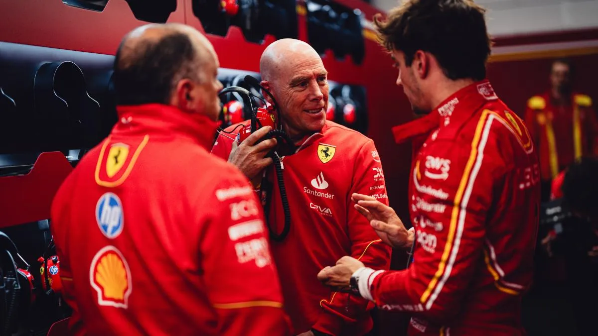 Hamilton Ferrari figura interna