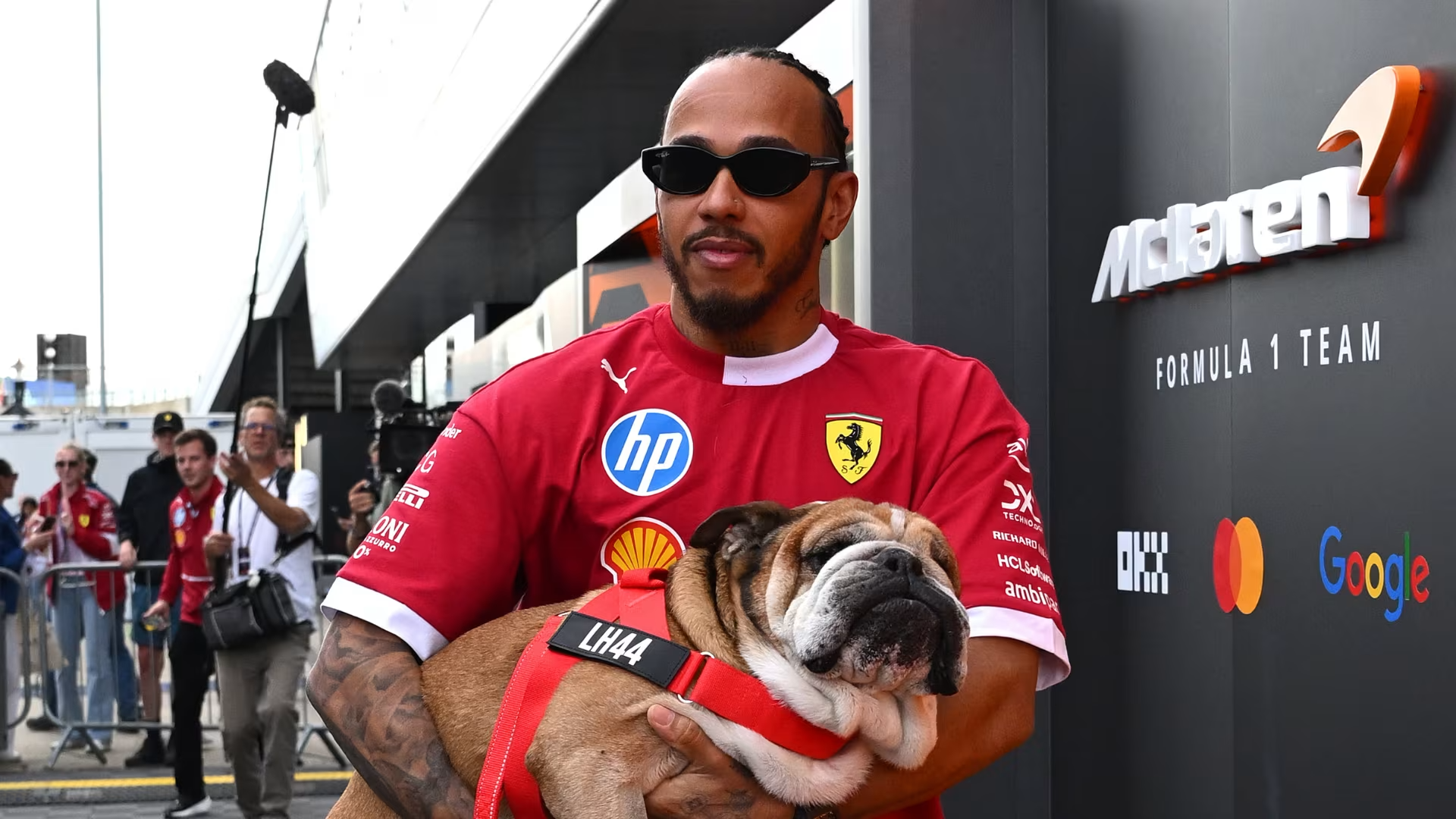 Il regalo di due fan per Roscoe - Credit: Getty Images